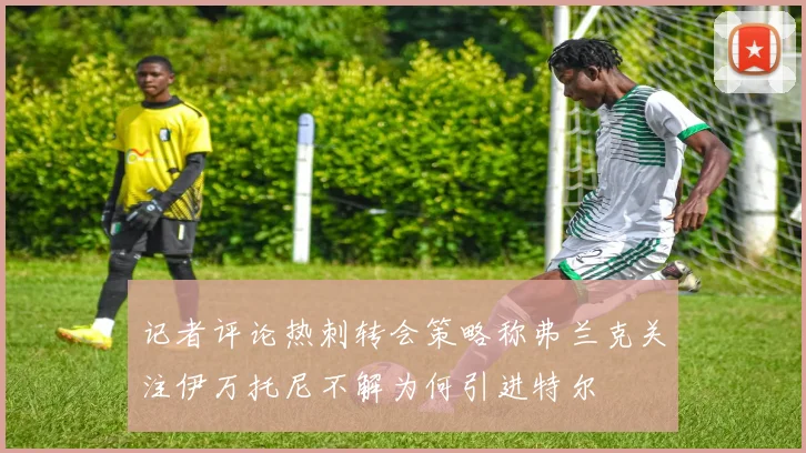 记者评论热刺转会策略称弗兰克关注伊万托尼不解为何引进特尔