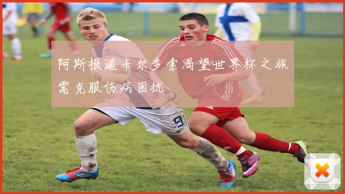 阿斯报道卡尔多索渴望世界杯之旅需克服伤病困扰