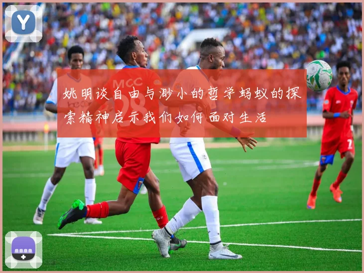 姚明谈自由与渺小的哲学蚂蚁的探索精神启示我们如何面对生活